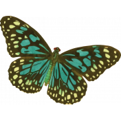 Seriously Butterfly 20 Illustration