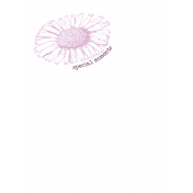 New Day Baby Card 15- 3x4