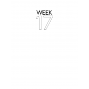 Weekly Pocket Card 3x4 Week 17
