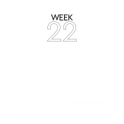 Weekly Pocket Card 3x4 Week 22