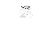 Weekly Pocket Card 3x4 Week 24