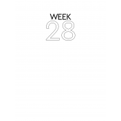 Weekly Pocket Card 3x4 Week 28