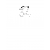 Weekly Pocket Card 3x4 Week 34