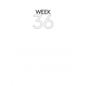 Weekly Pocket Card 3x4 Week 36