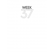 Weekly Pocket Card 3x4 Week 37