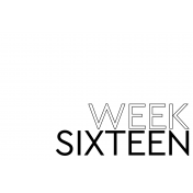 Weekly Pocket Card 4x6 Week 16