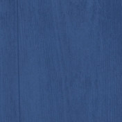 Remembrance Papers- Paper Solid 11