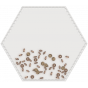 Shaker Pockets Kit- Beads- Hexagon Filled