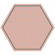 Good Life July 21_Tag Hexagon-Pink Gray