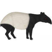 Good Life July 21_Tapir