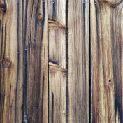 Real Textures Kit #18- Wood Texture 18D