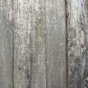 Real Textures Kit #18- Wood Texture 18O