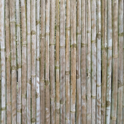 Real Textures Kit #18- Wood Texture 18Q