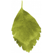 The Good Life: January 2022 Elements- leaf 01