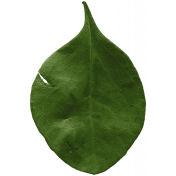 The Good Life: January 2022 Elements- leaf 04