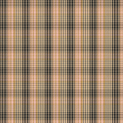 The Good Life: March 2022 paper plaid 3