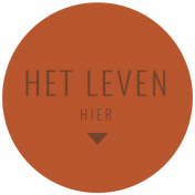 The Good Life: March 2022- Label Dutch 17 Het Leven Hier
