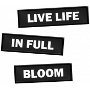 The Good Life: July & August 2023 Mixed Media Elements- Plastic Label, Live Life In Full Bloom