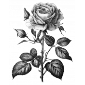 Rose Sticker 5