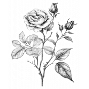 Rose Sticker 7