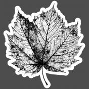 This Is Spooky Stickers: B&W Leaf 3