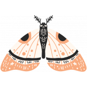 FN 10 Illustration Butterfly 1
