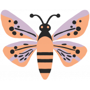 FN 10 Illustration Butterfly 2