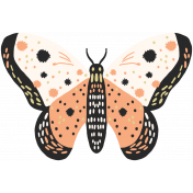 FN 10 Illustration Butterfly 5