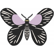 FN 10 Illustration Butterfly 6