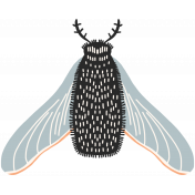FN 10 Illustration Butterfly 7