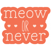 Cats Word Art Sticker 7 Meow or Never