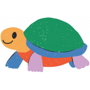 FN15 Illustration Turtle