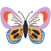 FN15 Illustration Butterfly 2