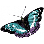 Winter Arabesque Butterfly- Teal