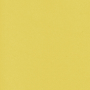 Oregonian Solid Paper Yellow