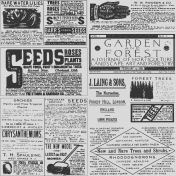 Oregonian Paper Vintage Ephemera