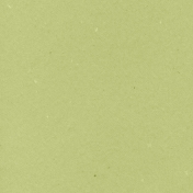 World Traveler Solid Paper Green2