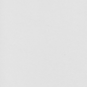The Most Useful Ledger Paper 262