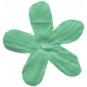 Oregonian Silk Flower- Green B