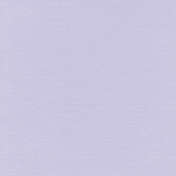 Presence Solid Paper Purple2