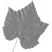 Leaves No.2- Templates- Leaf 11