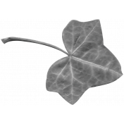 Leaves No.2- Templates- Leaf 17