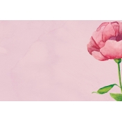 Renewal- Journal Cards Kit- Peony- 6x4
