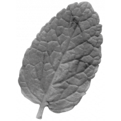 Leaf 022