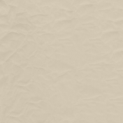 Winter Arabesque- Solid Tan Paper