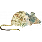 Animal Kingdom - Rat