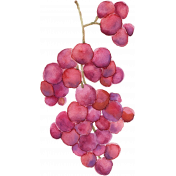 Pour Me A Wine- Elements- Watercolor Grapes