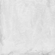 Gesso Canvas- Textures- White 4