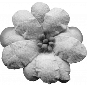 Flowers No.11- Flower Template 5