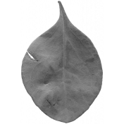 Leaves No. 2- Leaf Template 4